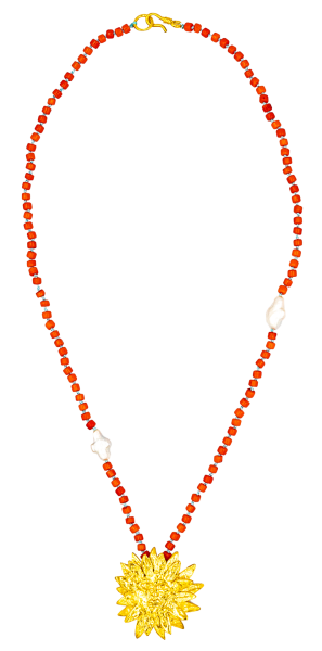 APOLLO CORAL KOLYE