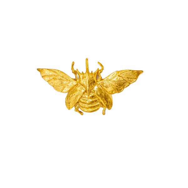 GOLDEN WING BROŞ