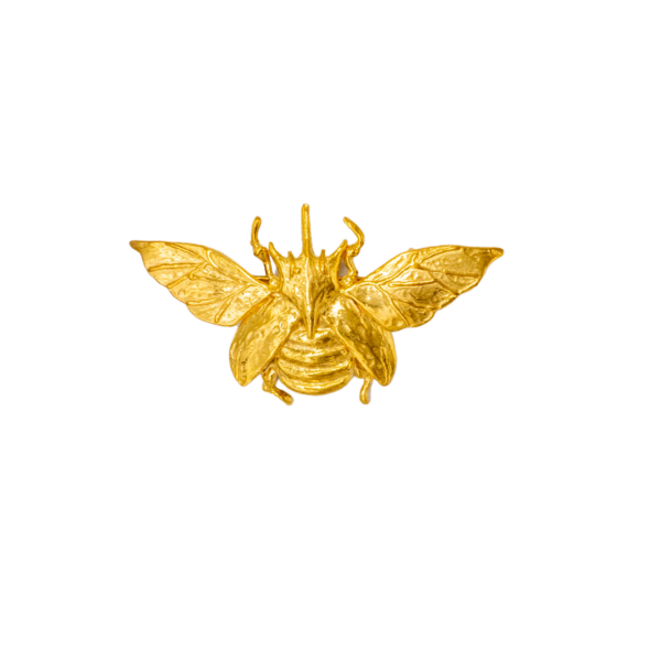 GOLDEN WING BROŞ